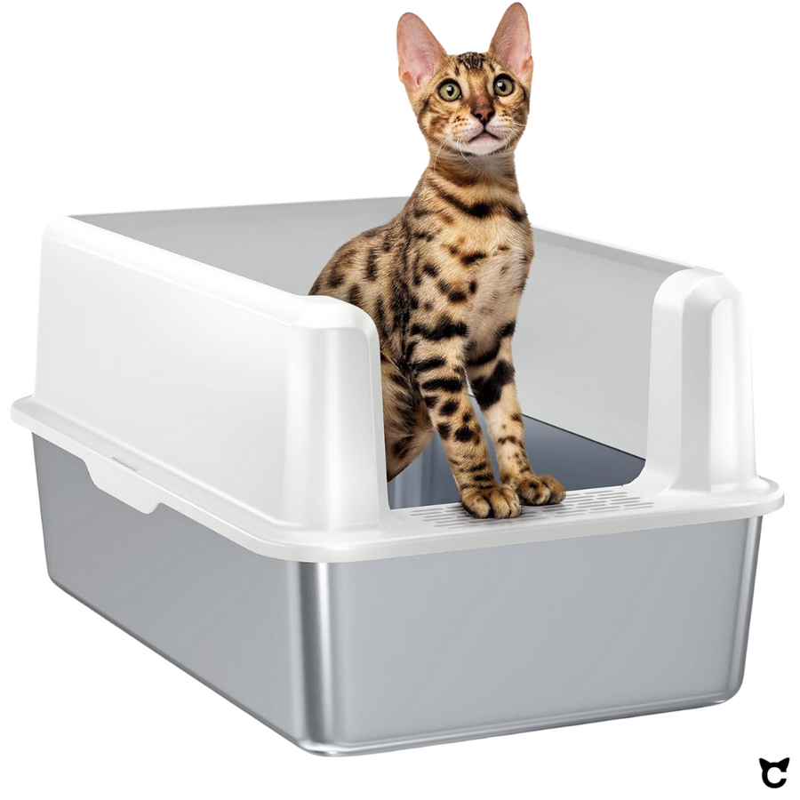 Bengalkatze steht am vorderen Einstieg der Catzyfied Katzentoilette XXL aus Edelstahl.