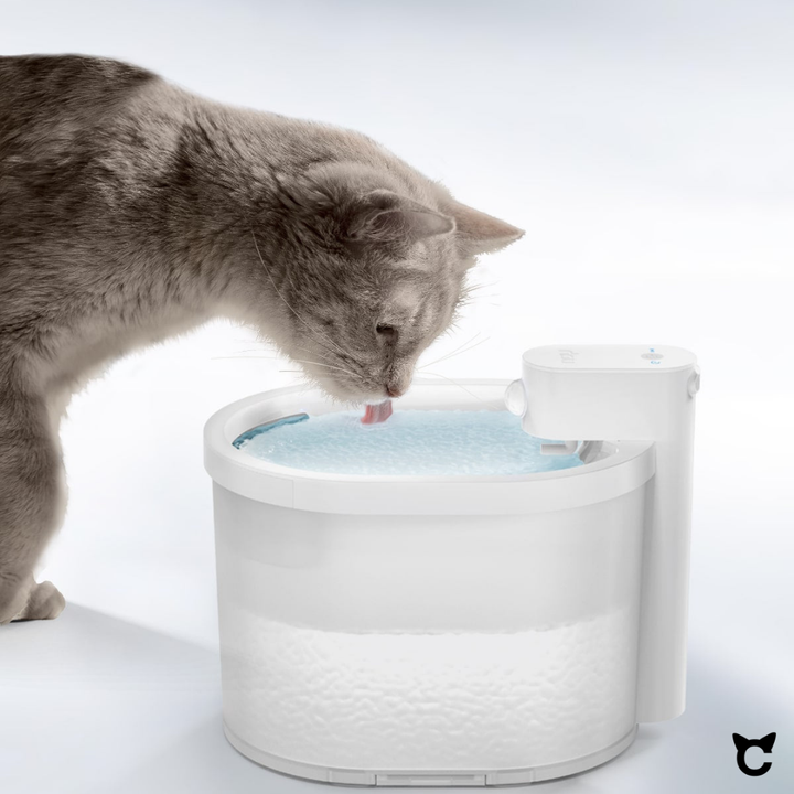 Fontana per gatti senza fili