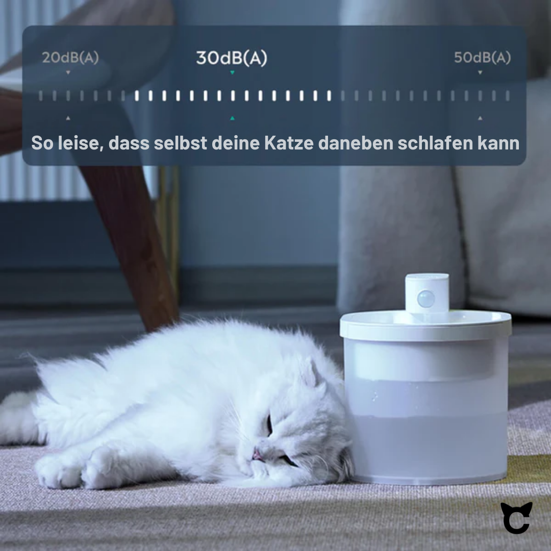 Kabelloser Katzenbrunnen Catzyfied. So leise, dass selbst deine Katze daneben schlafen kann