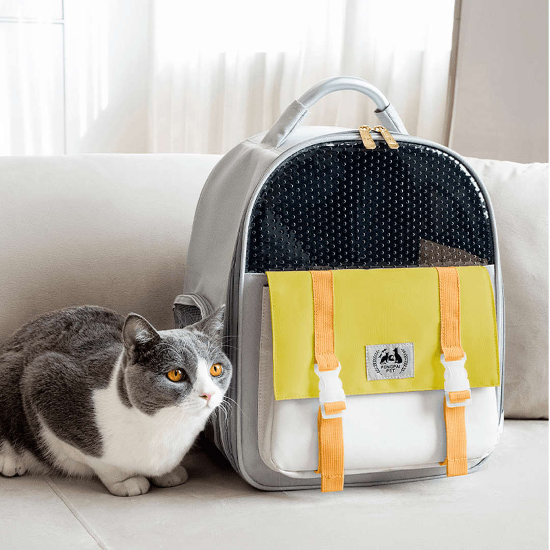 Abenteurer Katzen-Rucksack Premium - catzyfied.ch