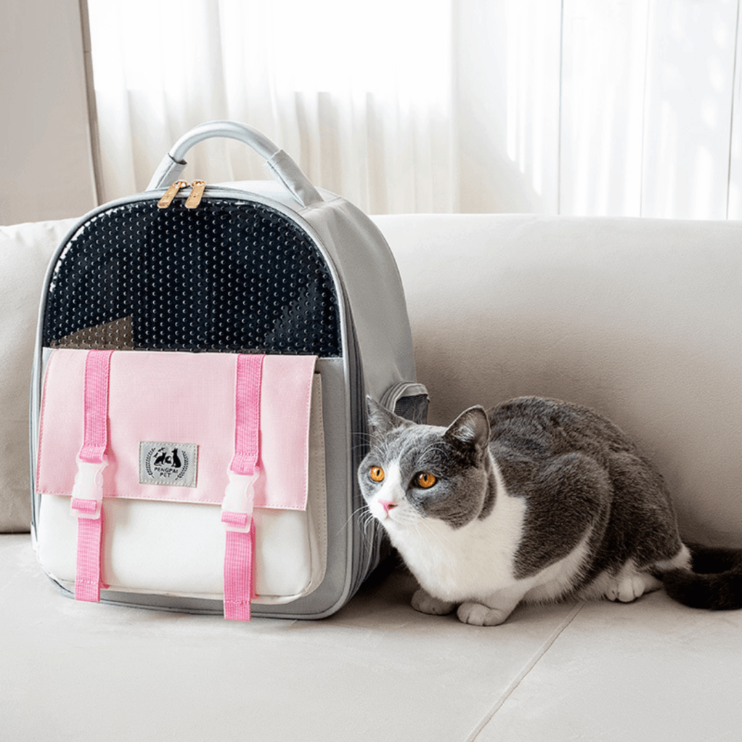 Abenteurer Katzen-Rucksack Premium - catzyfied.ch