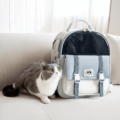 Abenteurer Katzen-Rucksack Premium - catzyfied.ch