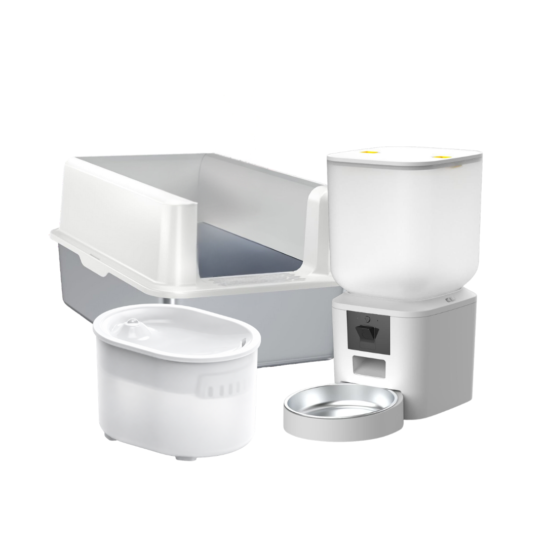 Catzyfied Komplett-Set
