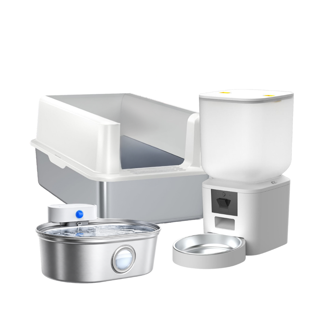 Catzyfied Komplett-Set