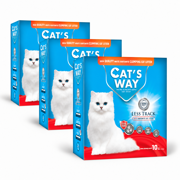 Cat&