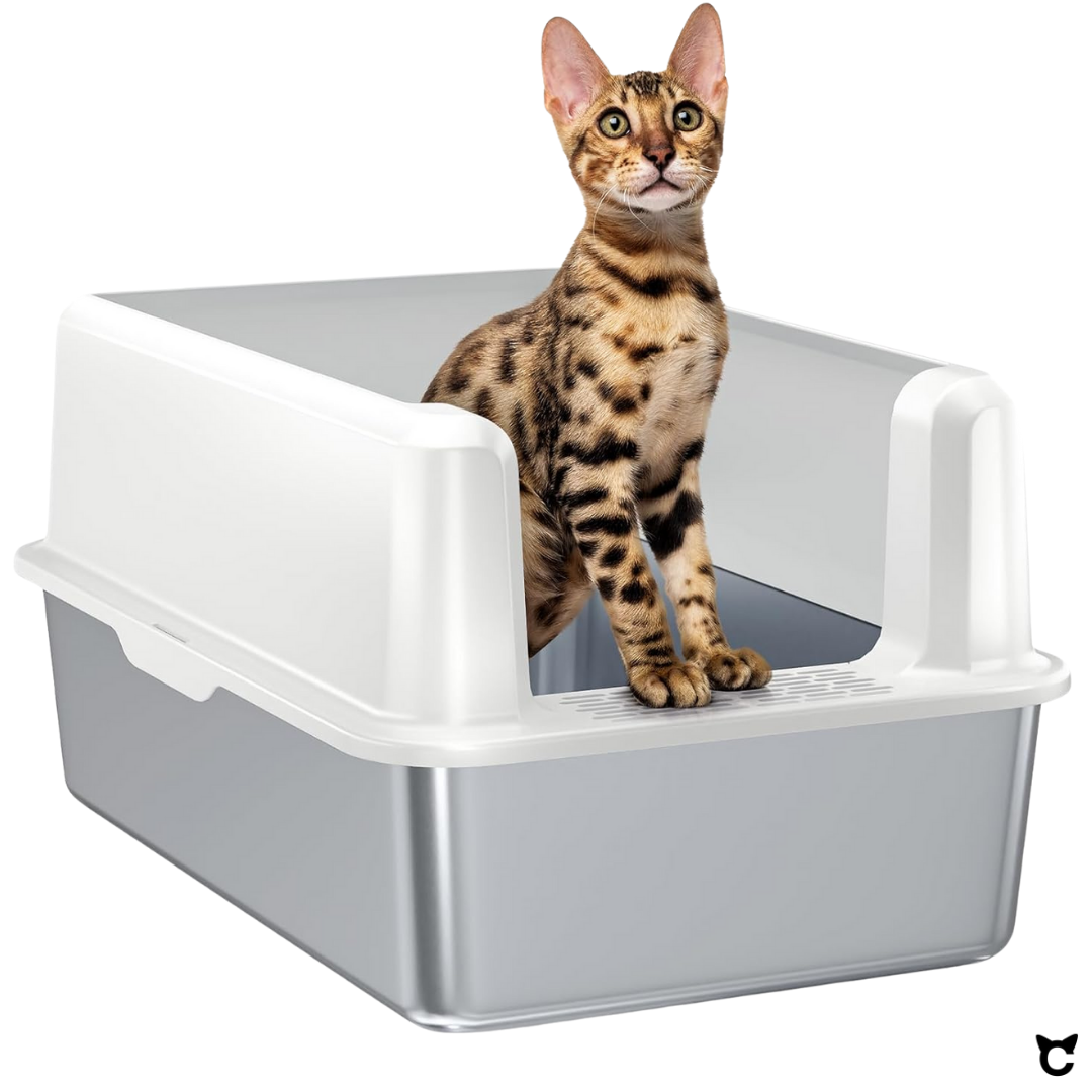Bengalkatze steht am vorderen Einstieg der Catzyfied Katzentoilette XXL aus Edelstahl.