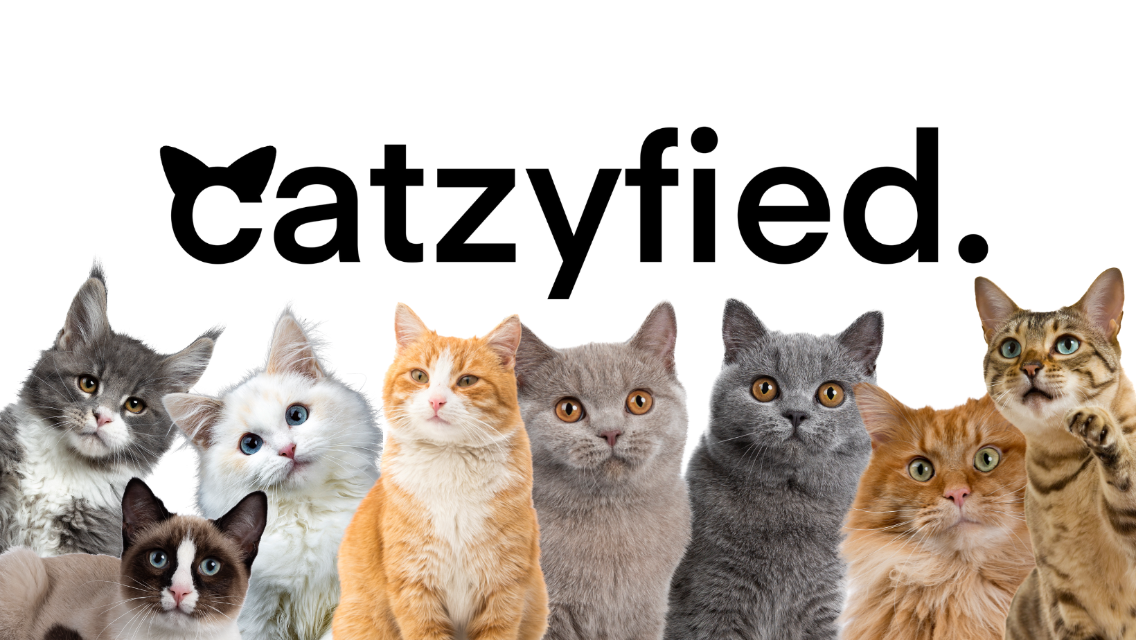 Catzyfied Logo mit bezaubernden Katzen