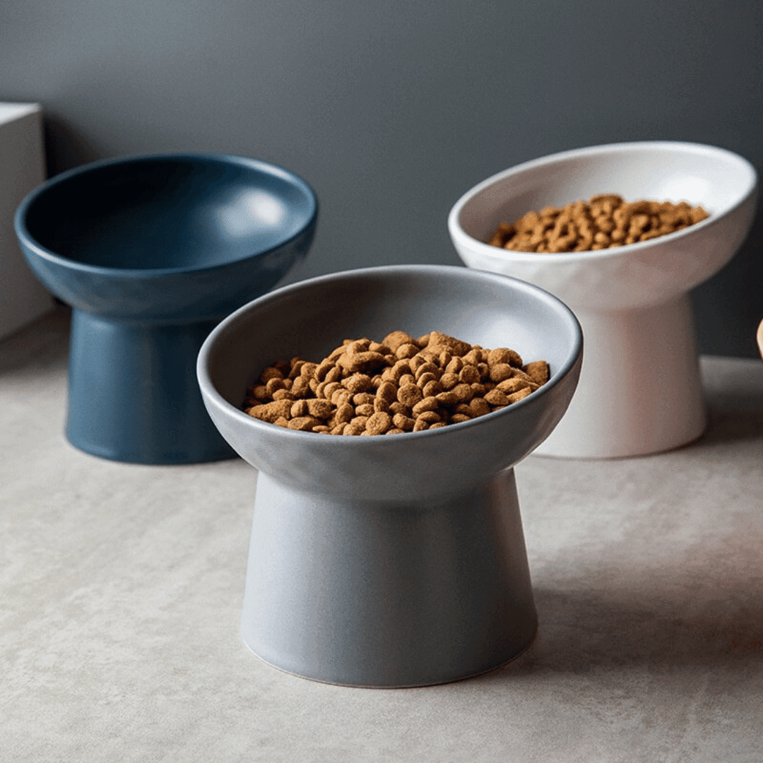 Catzyfied | Ergonomischer Keramik Futternapf