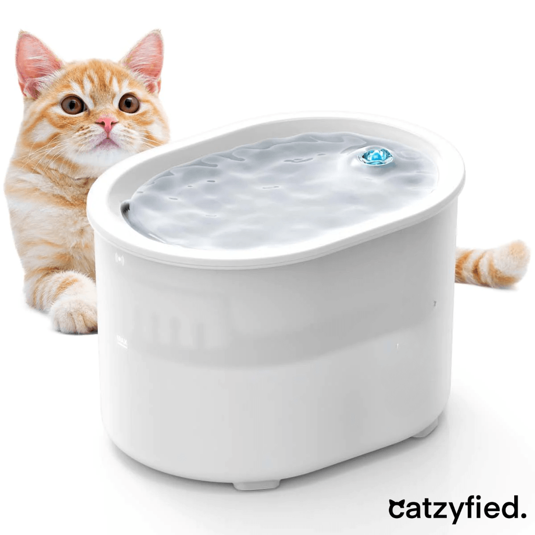 Kabelloser Katzenbrunnen 2.0 Catzyfied Bild 1