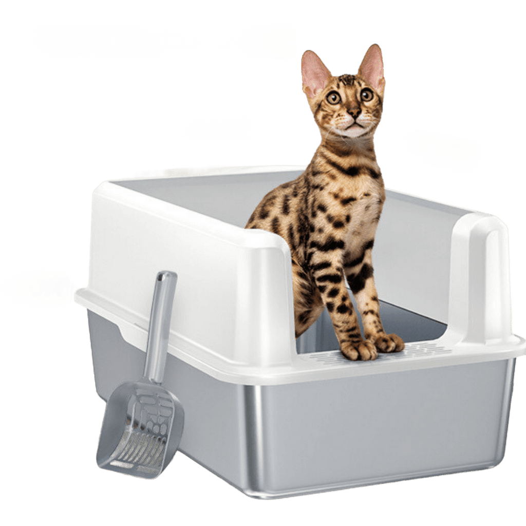 Katzentoilette XXL Edelstahl - Hygienisch & Robust – catzyfied.ch