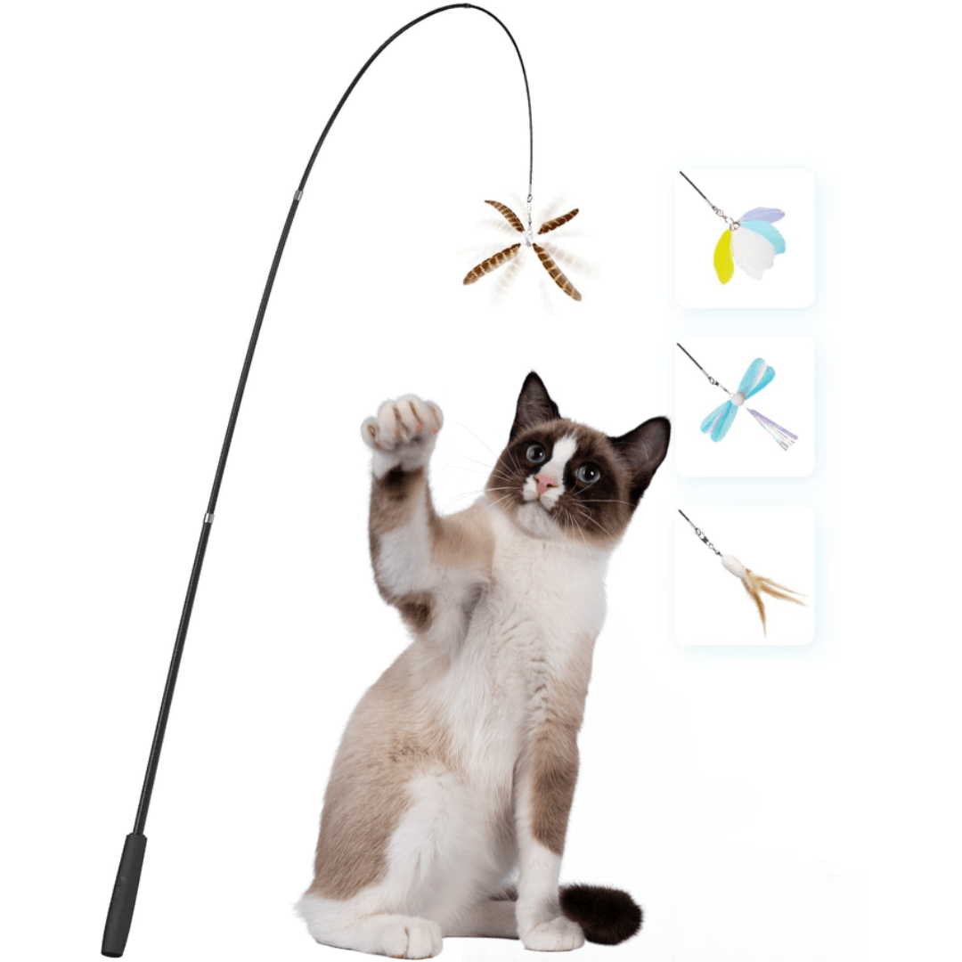 Ultimative Katzenangel Set - catzyfied.ch