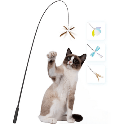Ultimative Katzenangel Set - catzyfied.ch